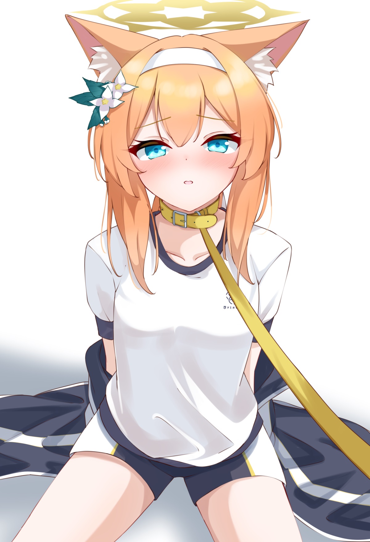 [精选插画] 崩坏 阮梅 星 原神 萤 芙宁娜 [17P/105MB]