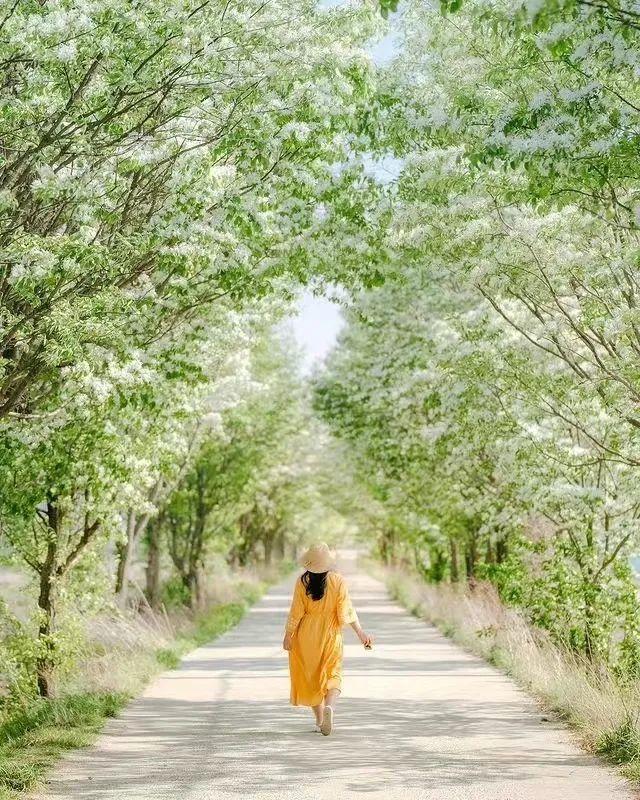 中年姐姐拍优雅美照,这些通俗易懂的技巧,出片气质大方有韵味