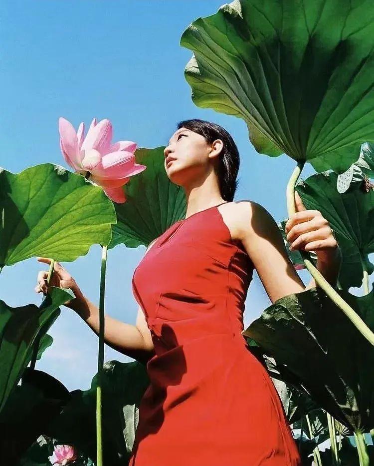 把荷花人像拍美,8个技巧值得一学,发朋友圈获赞无数