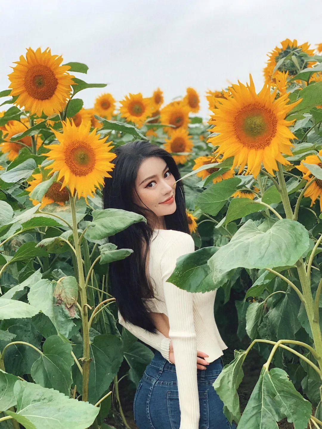 不做作不尴尬，向日葵这样拍，简单又好看，自然上镜有生命力