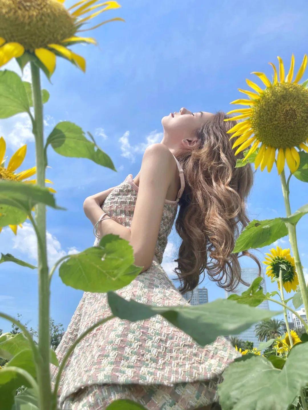 不做作不尴尬，向日葵这样拍，简单又好看，自然上镜有生命力