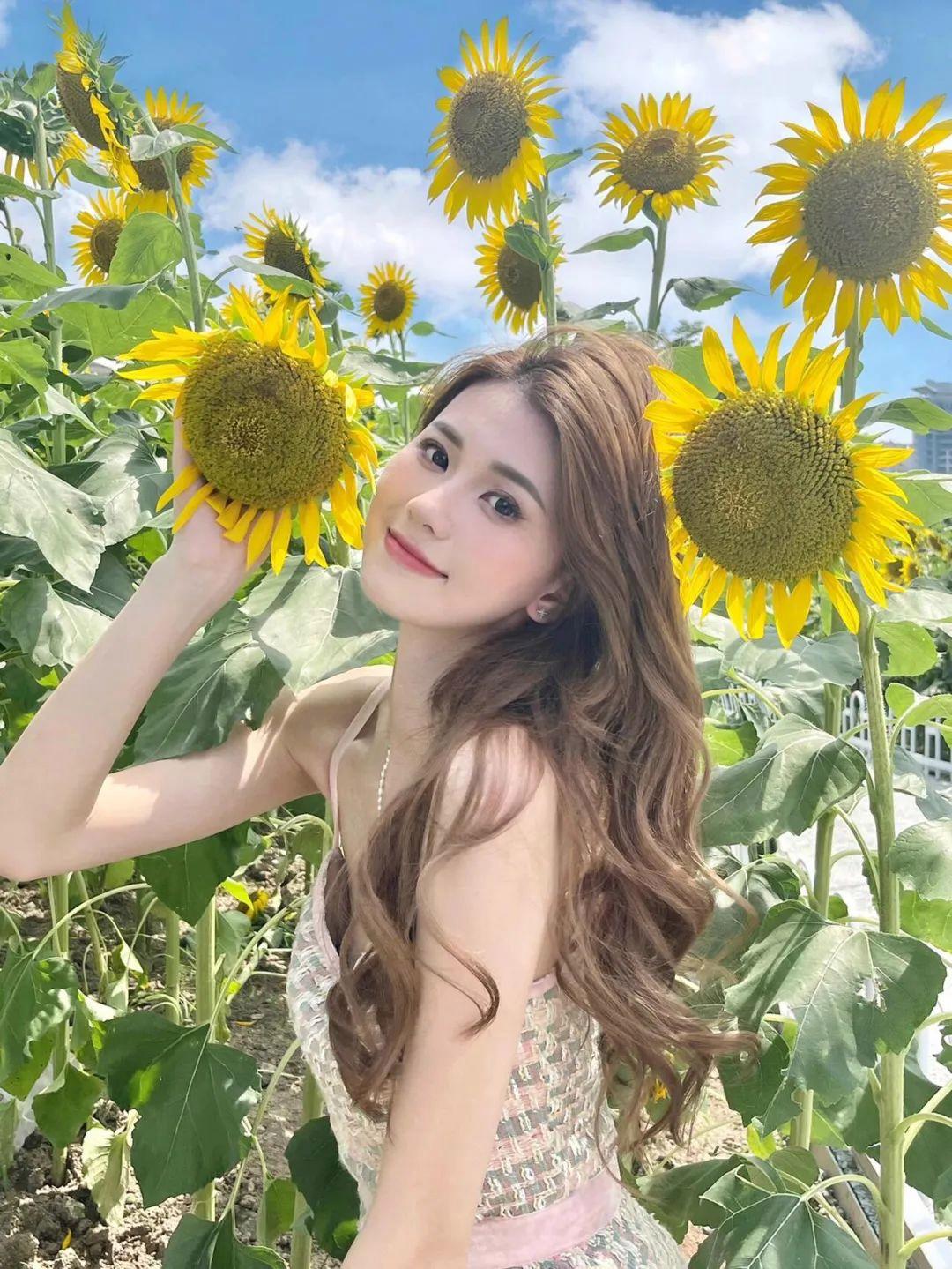 不做作不尴尬，向日葵这样拍，简单又好看，自然上镜有生命力