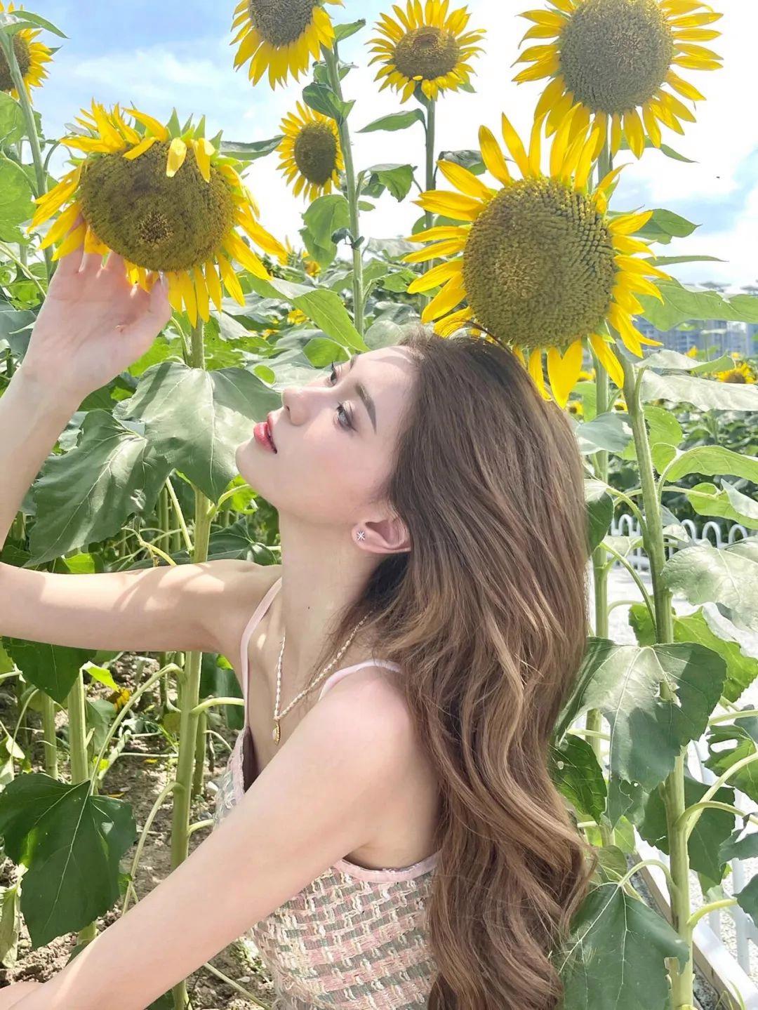 不做作不尴尬，向日葵这样拍，简单又好看，自然上镜有生命力