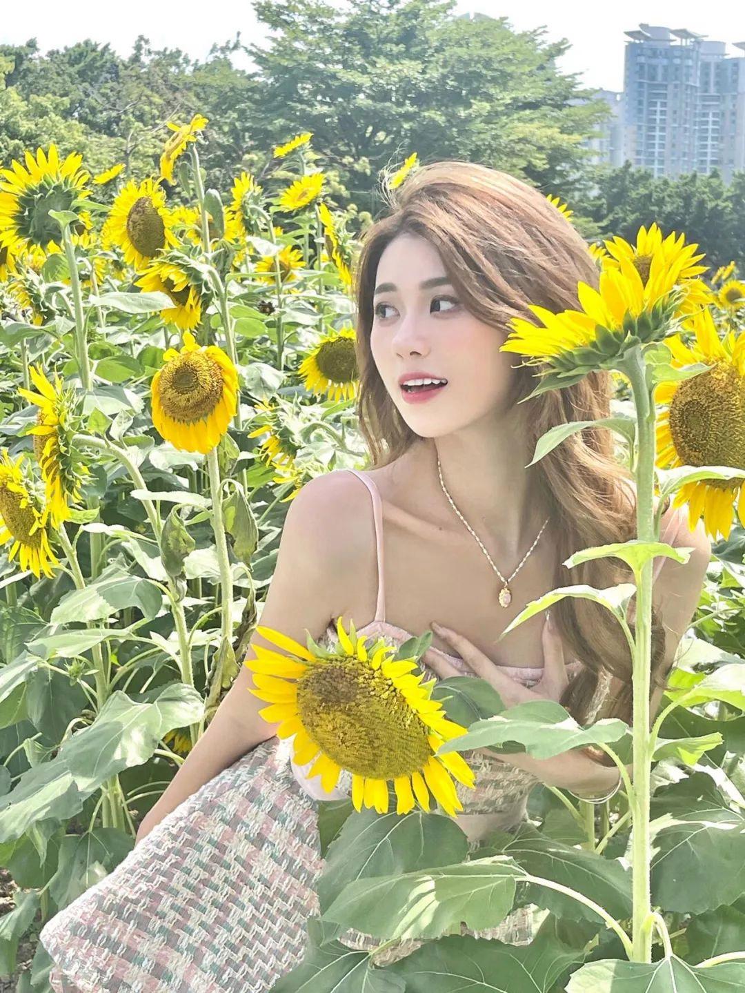 不做作不尴尬，向日葵这样拍，简单又好看，自然上镜有生命力
