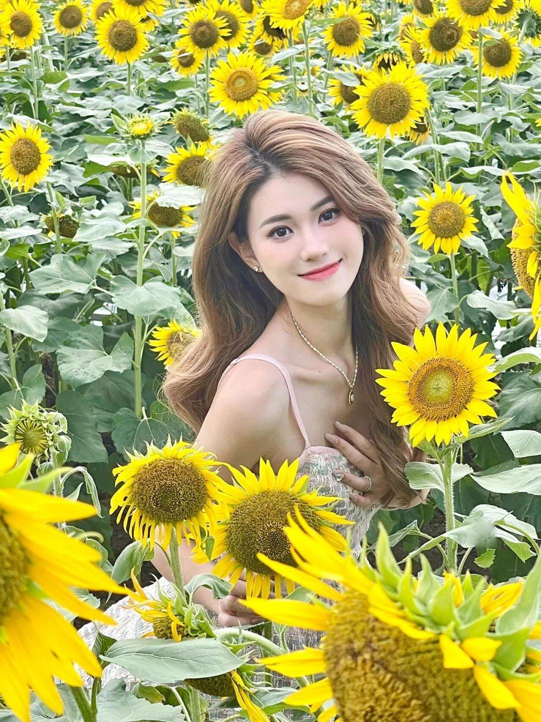 不做作不尴尬，向日葵这样拍，简单又好看，自然上镜有生命力