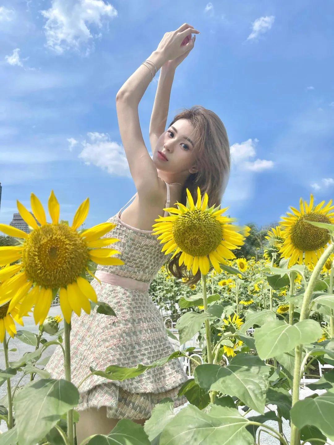 不做作不尴尬，向日葵这样拍，简单又好看，自然上镜有生命力