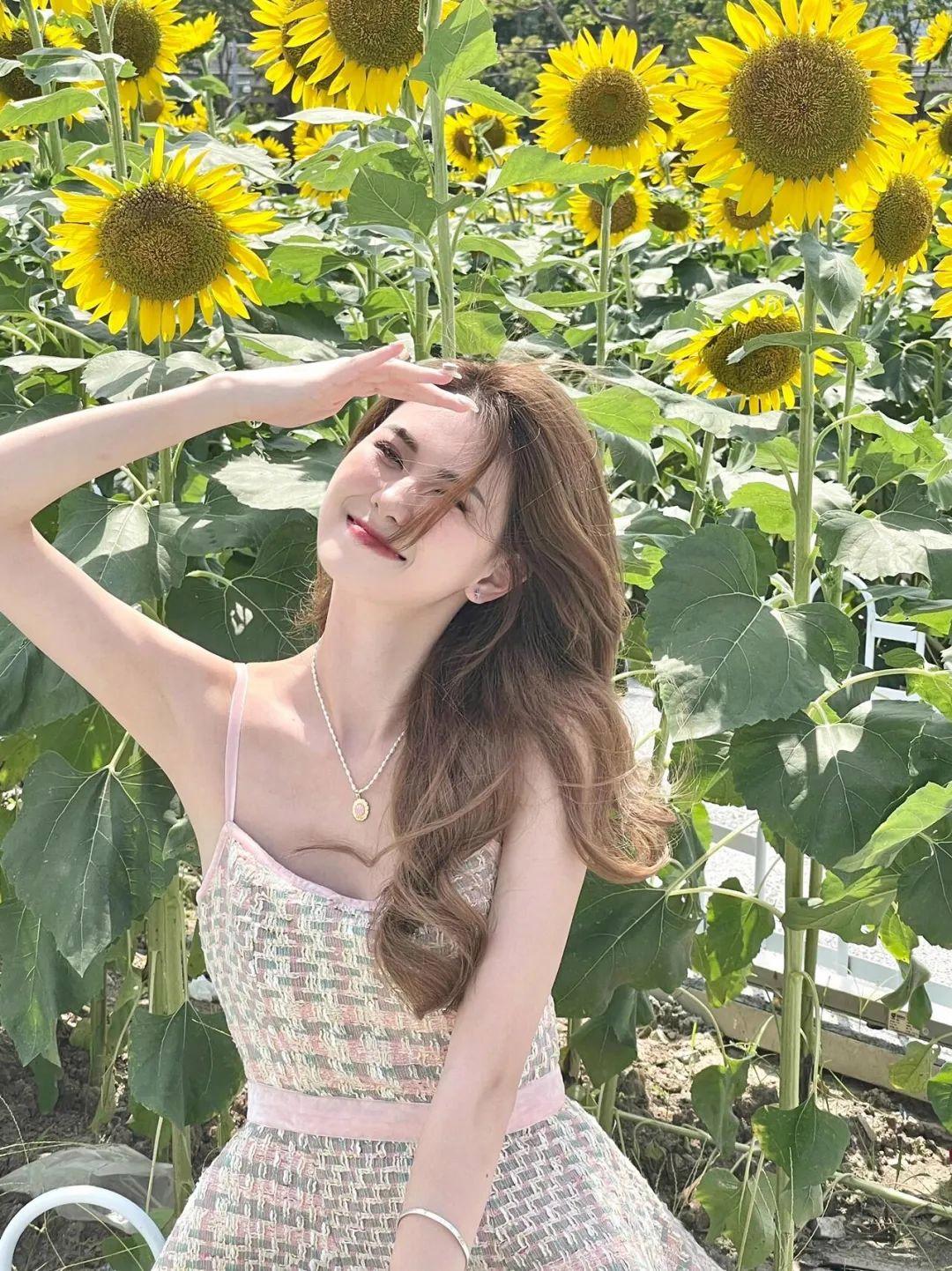 不做作不尴尬，向日葵这样拍，简单又好看，自然上镜有生命力