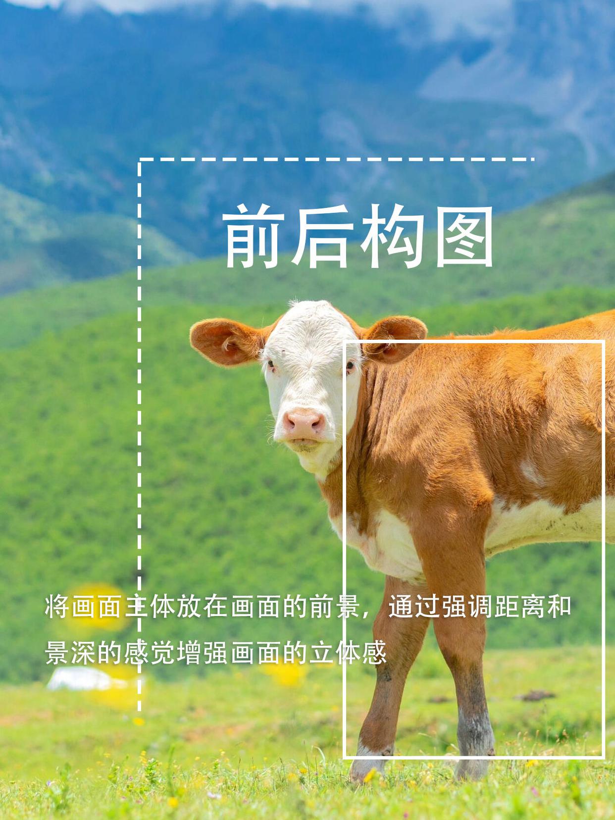 手机也能拍大片!教你9种风景构图法,简单易学,秒变拍照高手!